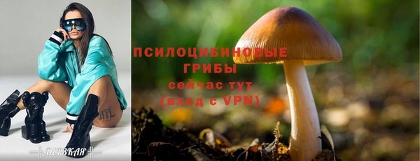 наркотики Инта