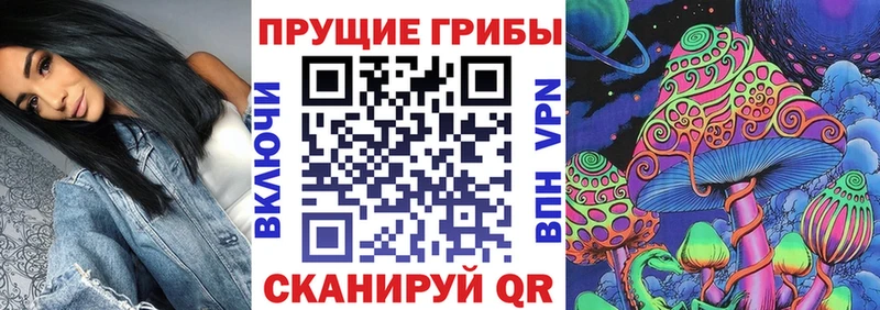 Галлюциногенные грибы мицелий  Купить закладки  Касли 